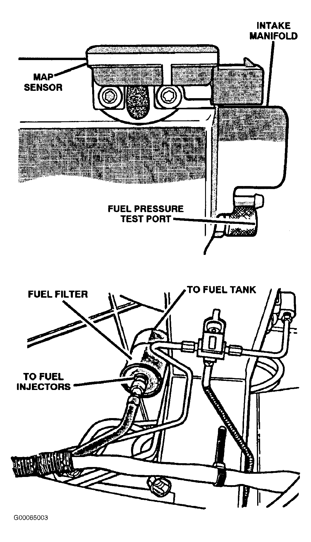 G00065003