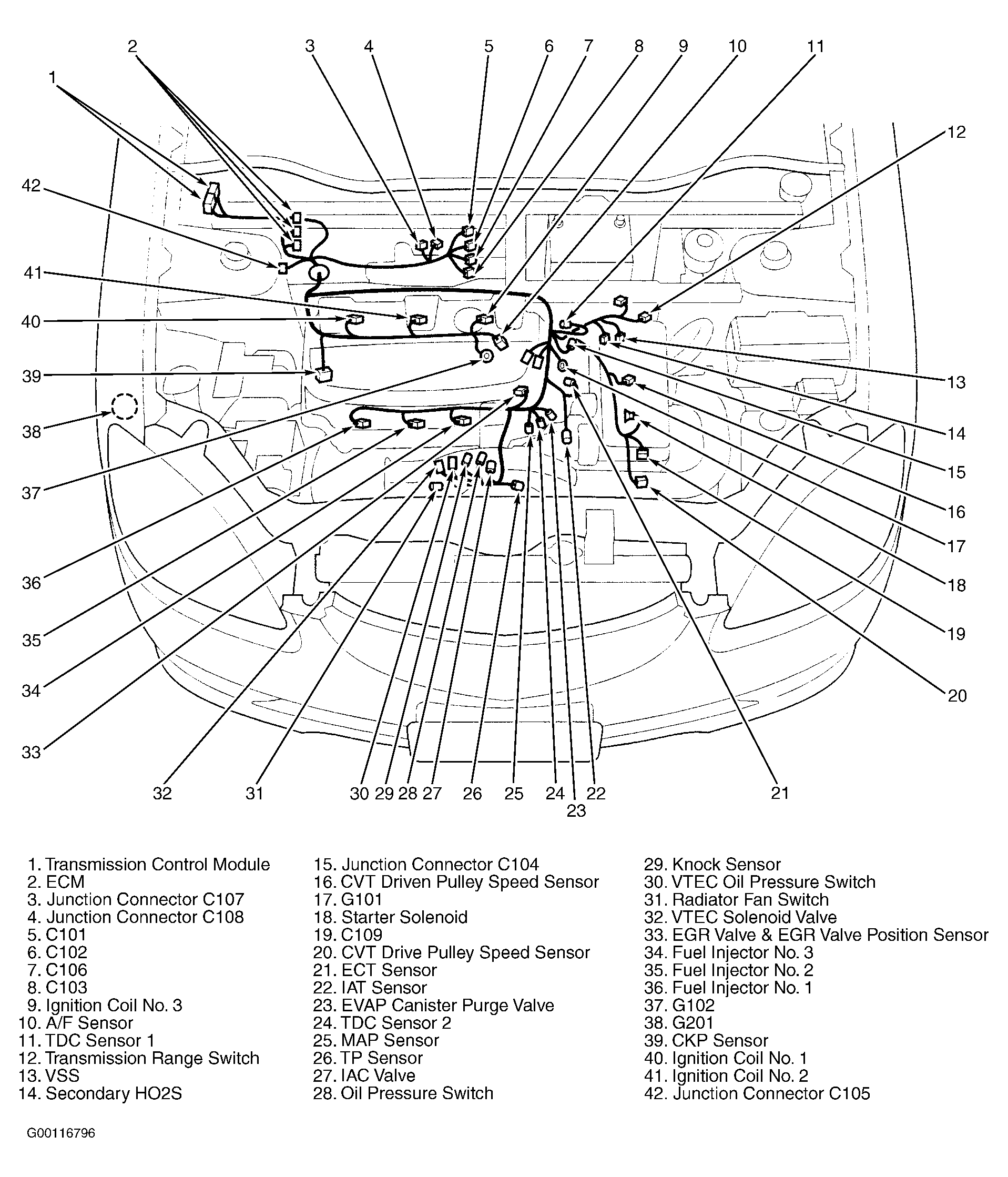 G00116796