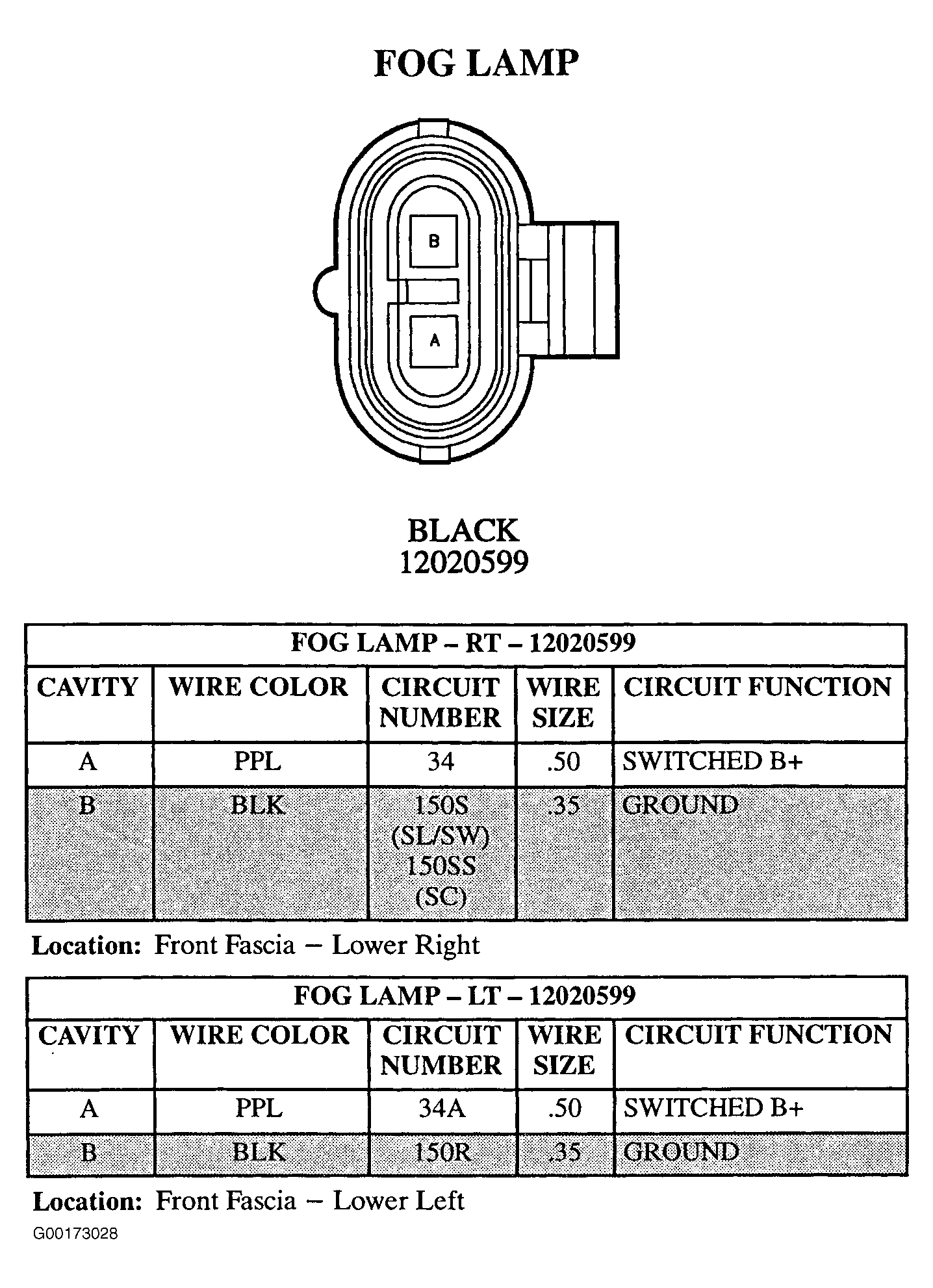 G00173028