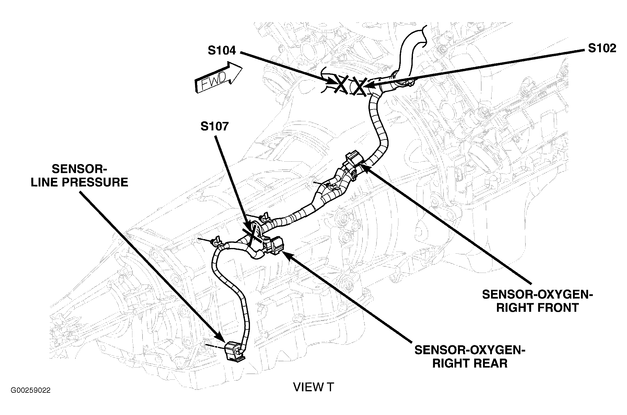 G00259022