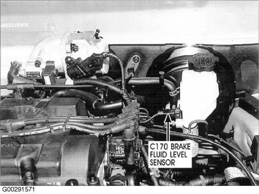 G00291571