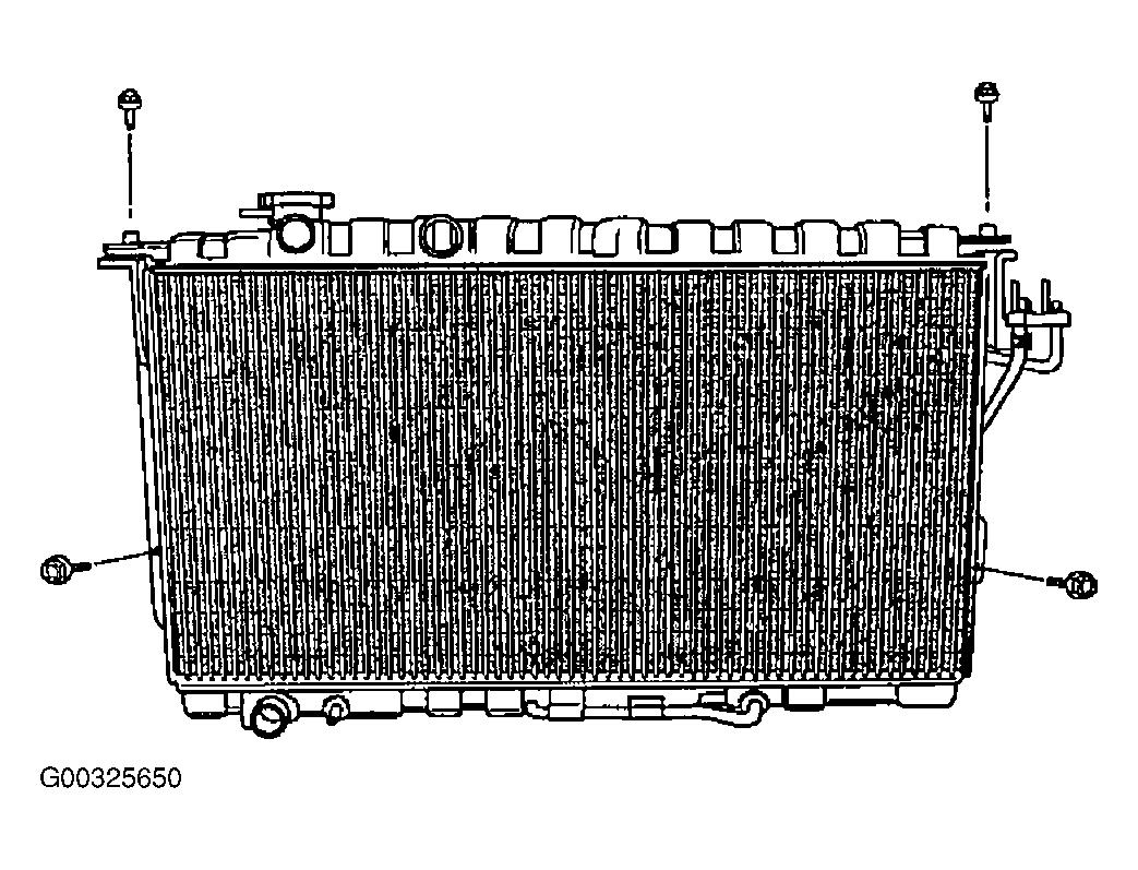 G00325650