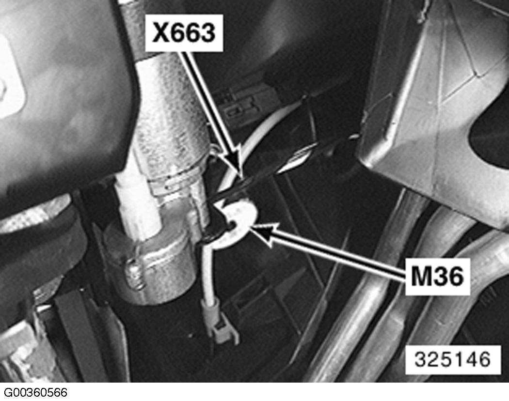G00360566