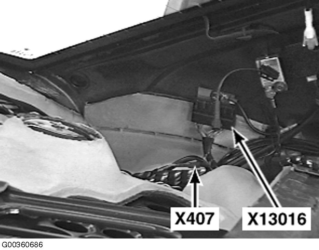 G00360686