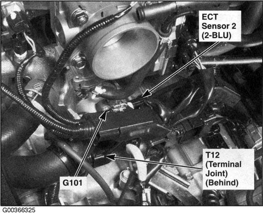 G00366325