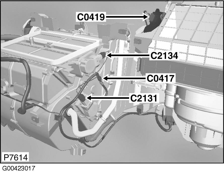 G00423017