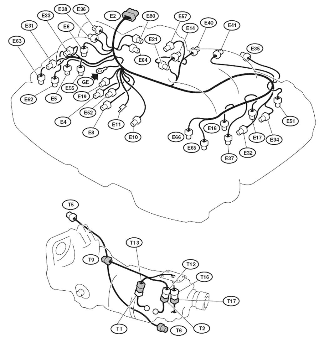 G00441698