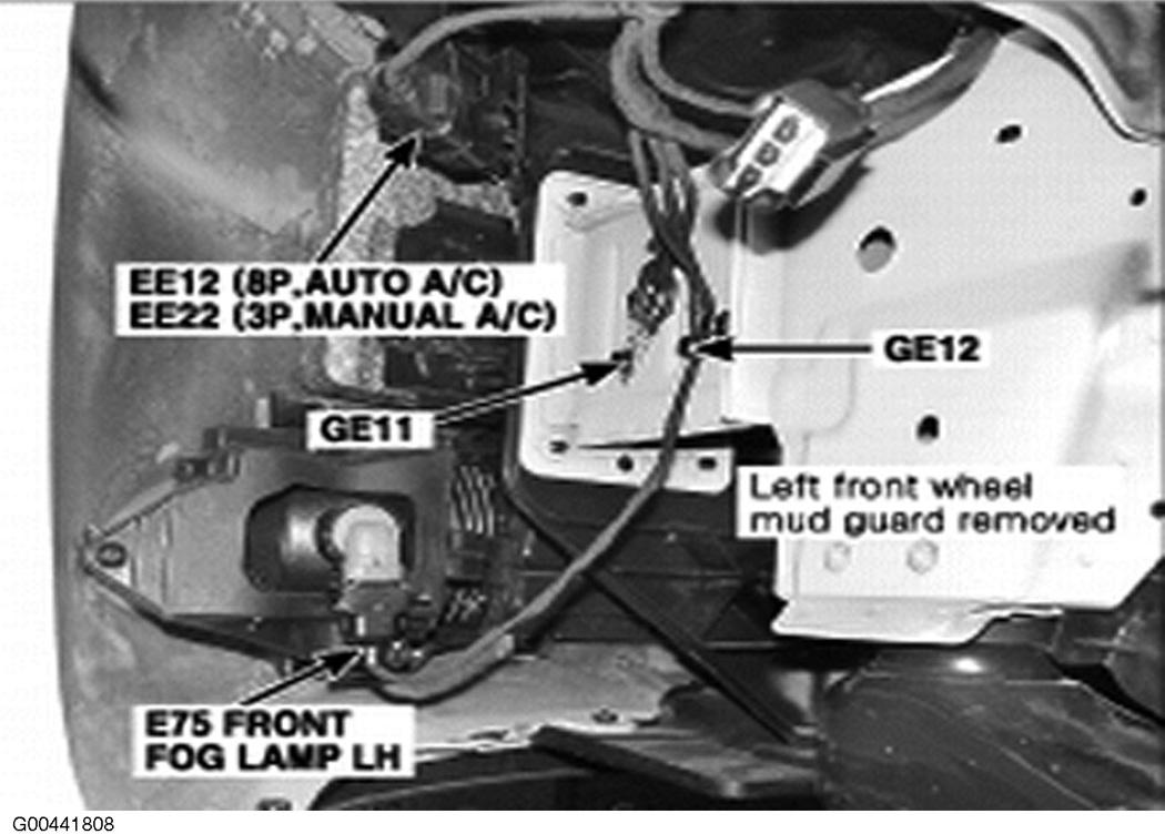 G00441808