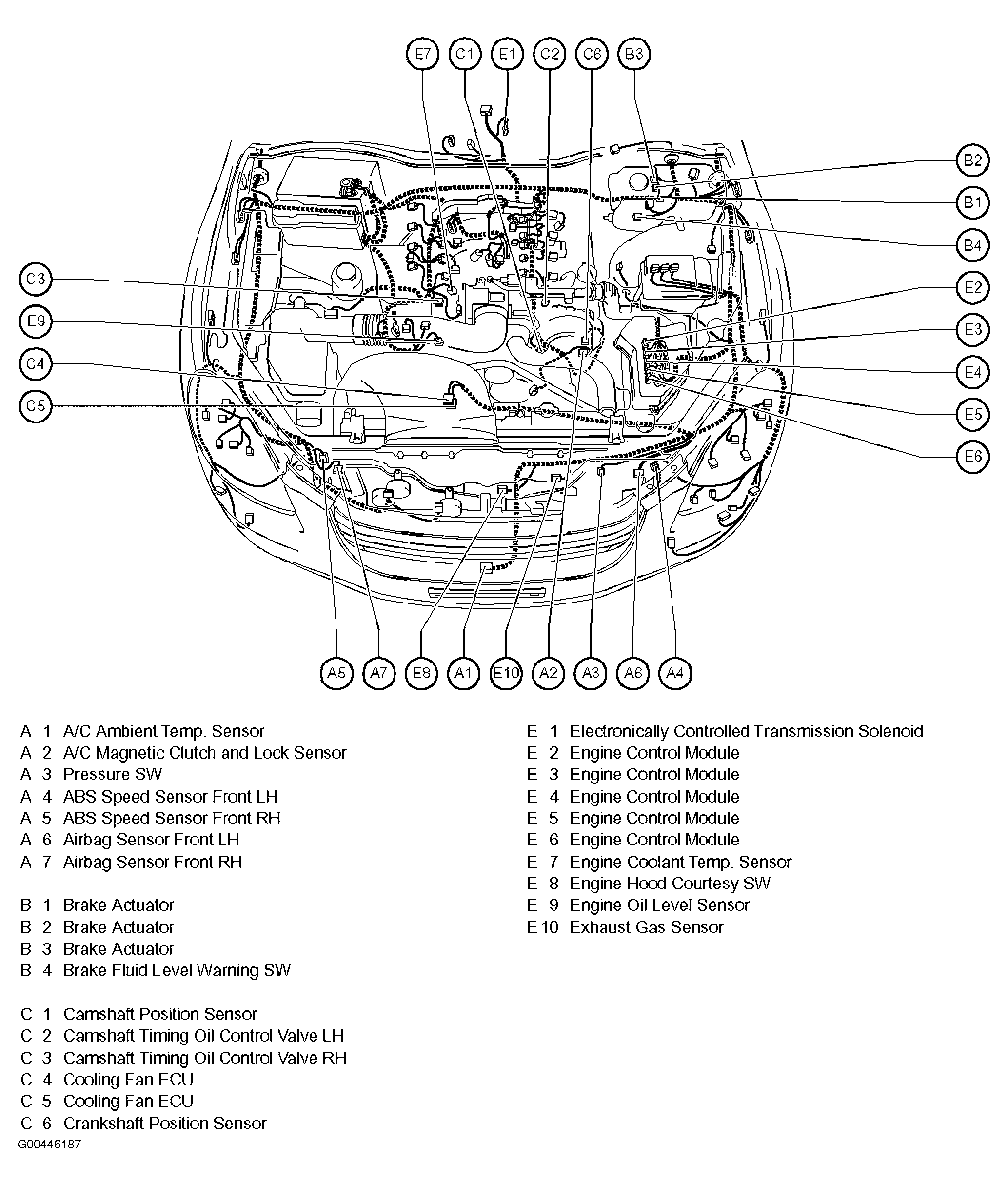 G00446187