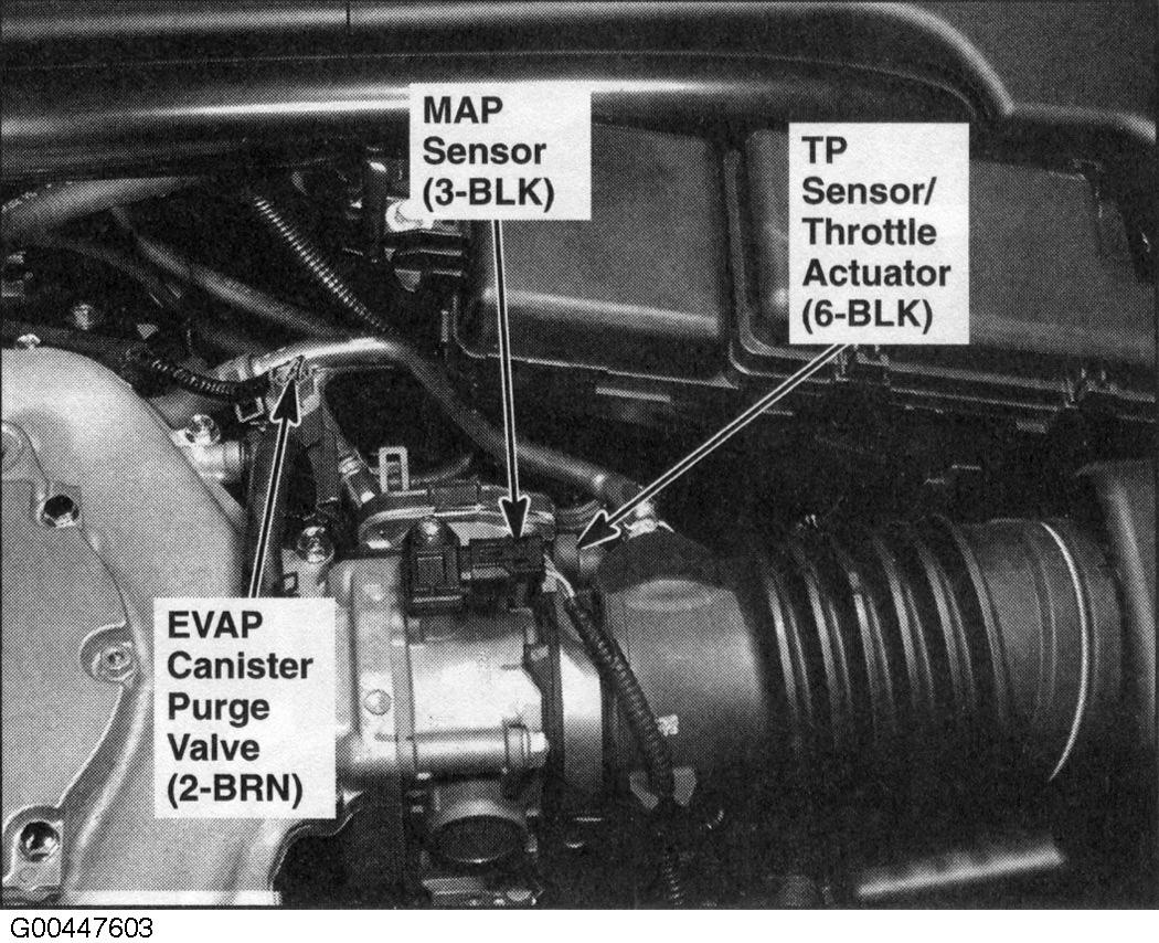 G00447603