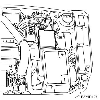G00449919