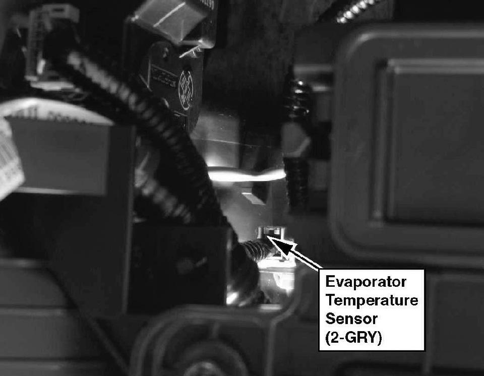 G00453918
