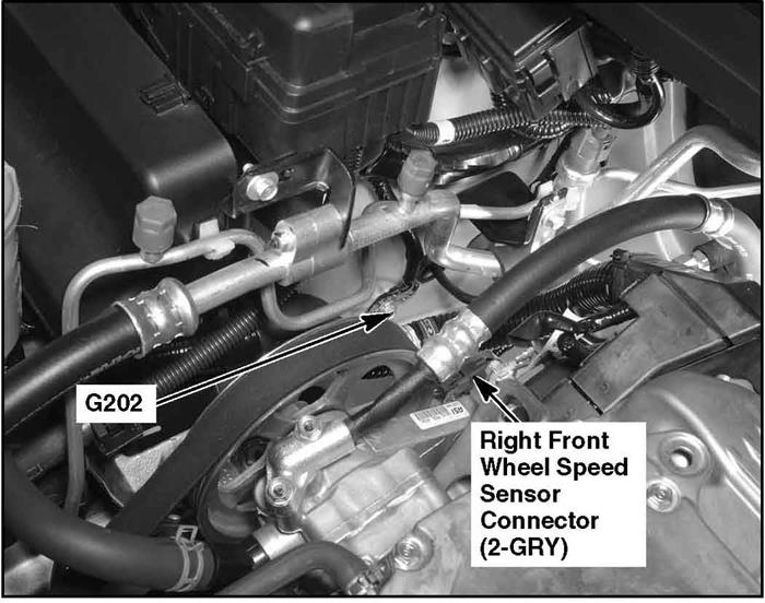 G00464065