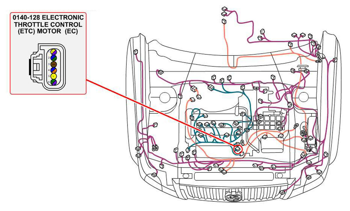 G00469796