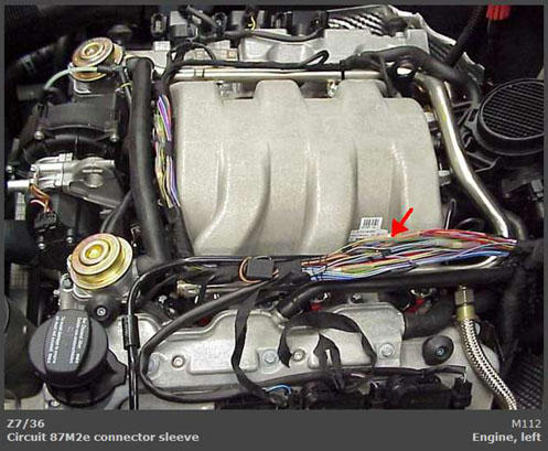 G00472167