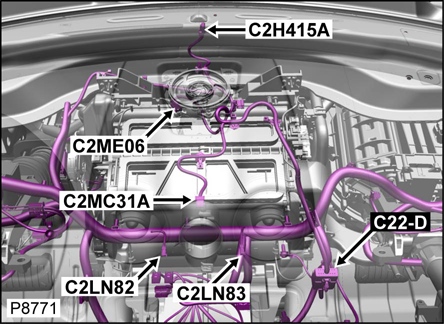 G00476891