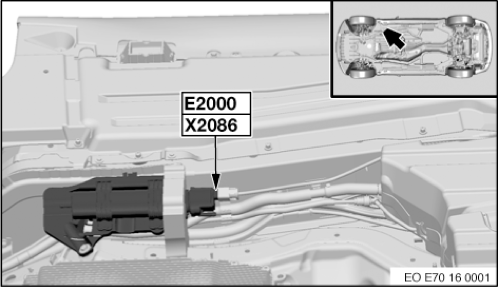 G00495981