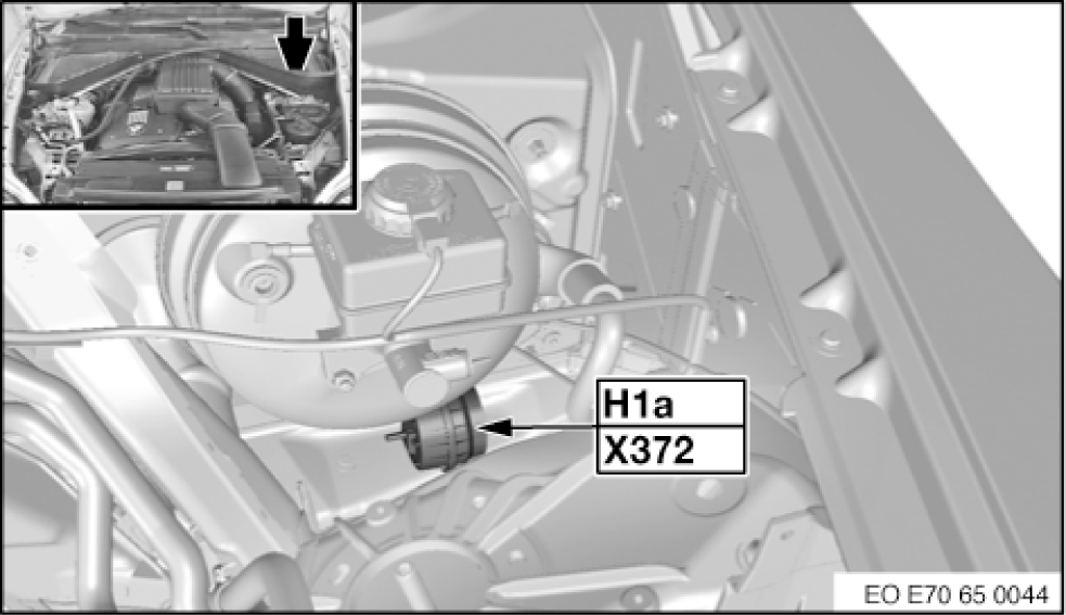 G00495994