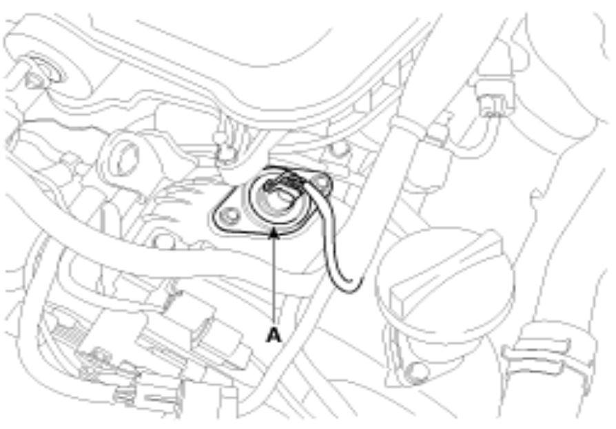 G00540691