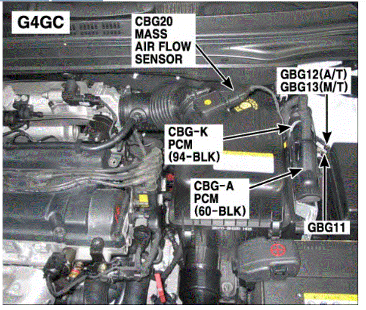 G00613631