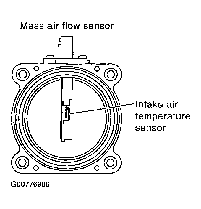 G00776986
