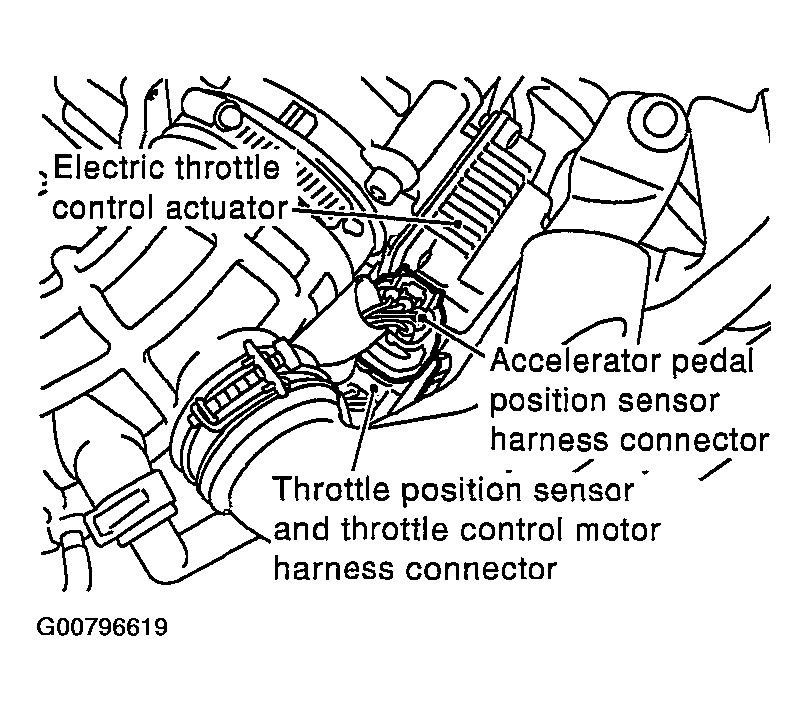 G00796619