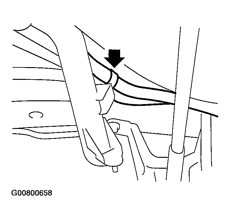 G00800658