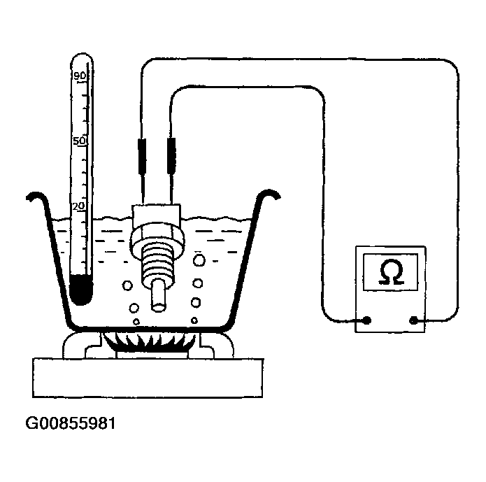 G00855981
