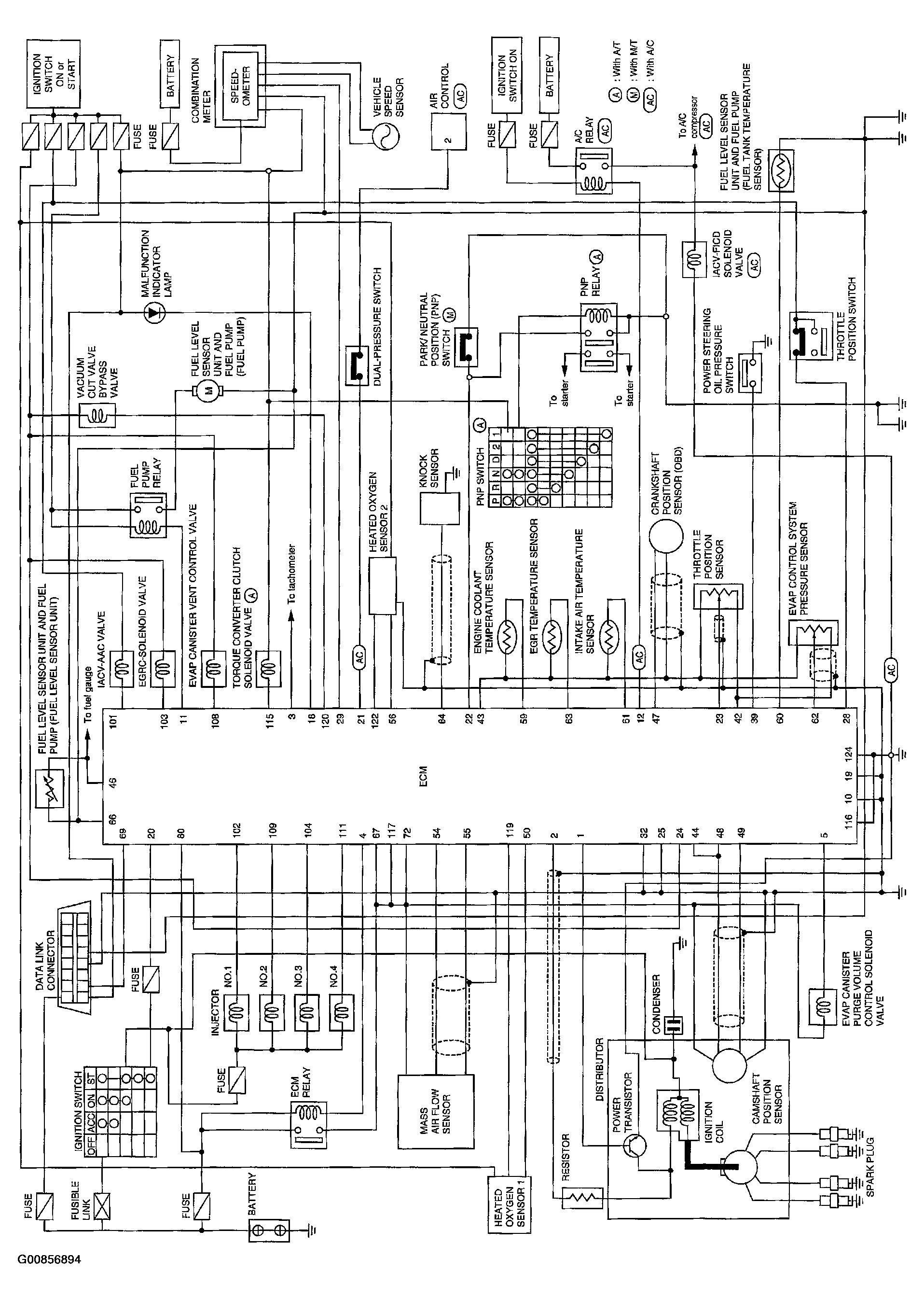 G00856894