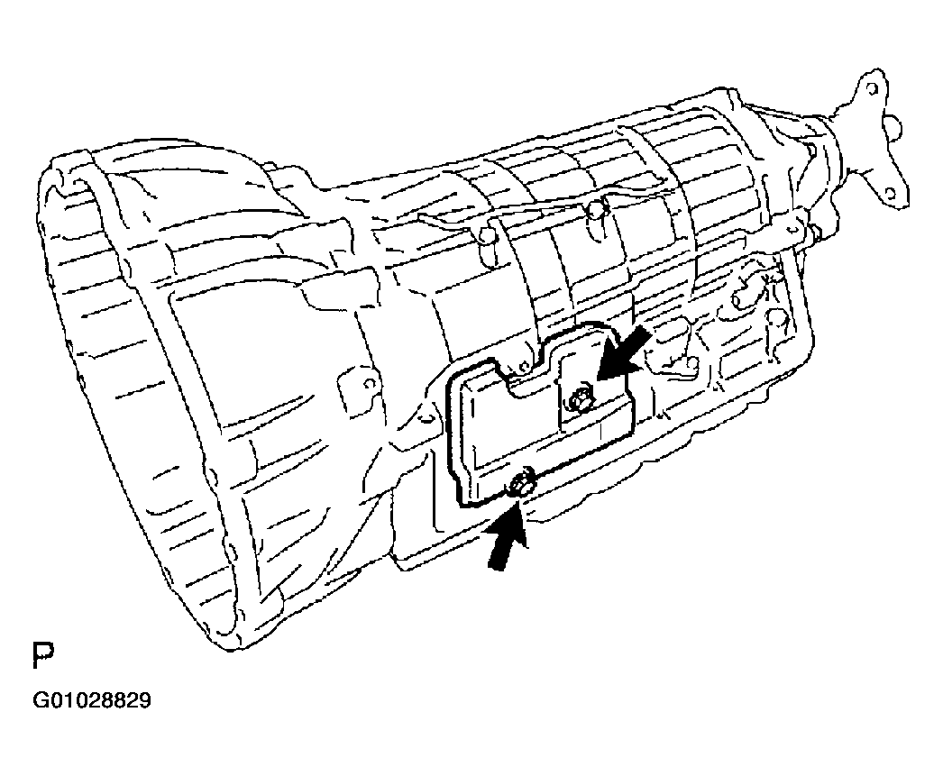 G01028829