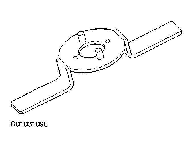 G01031096