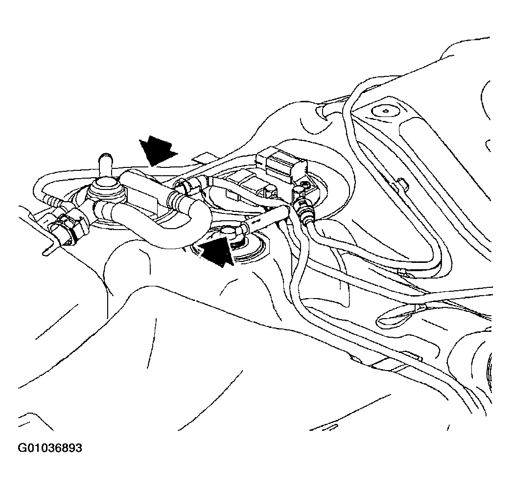 G01036893