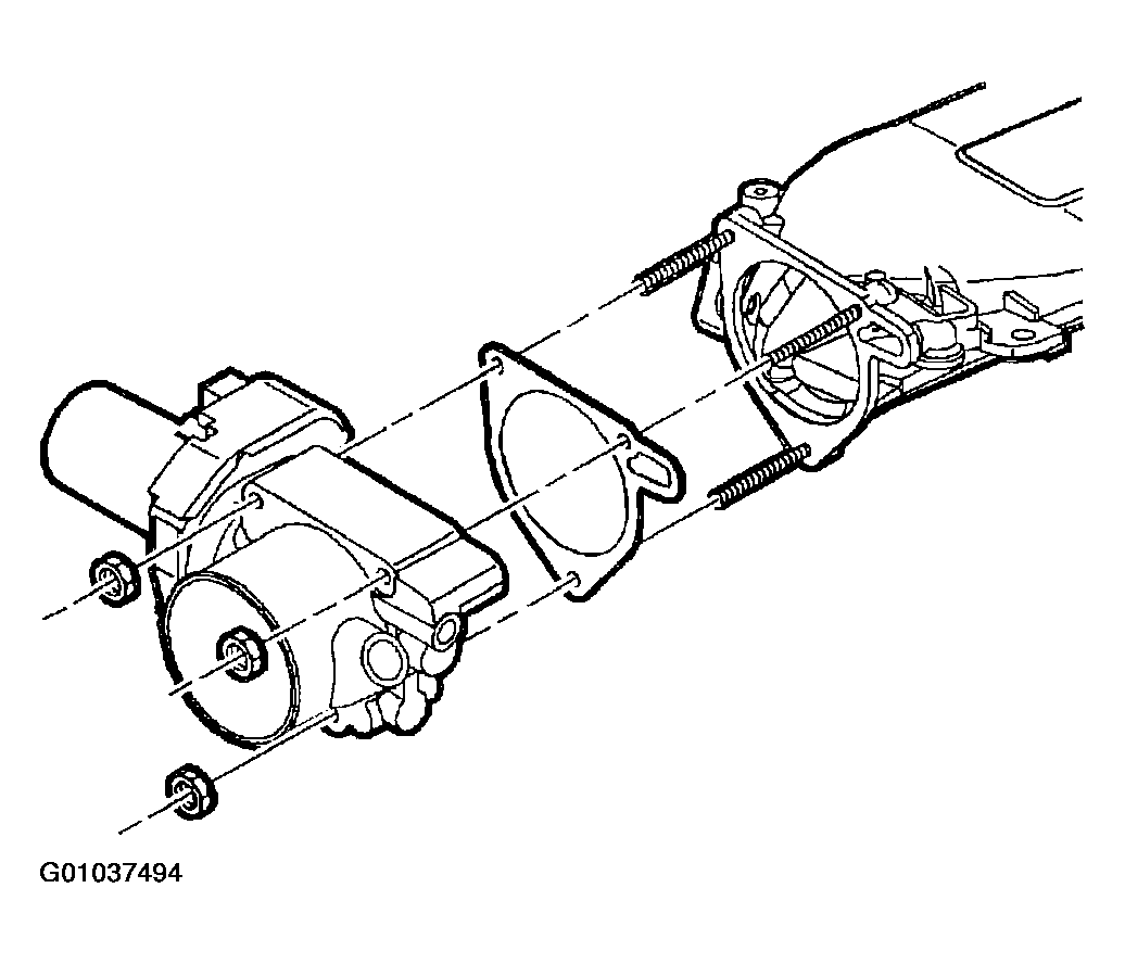 G01037494