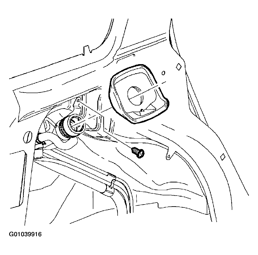 G01039916