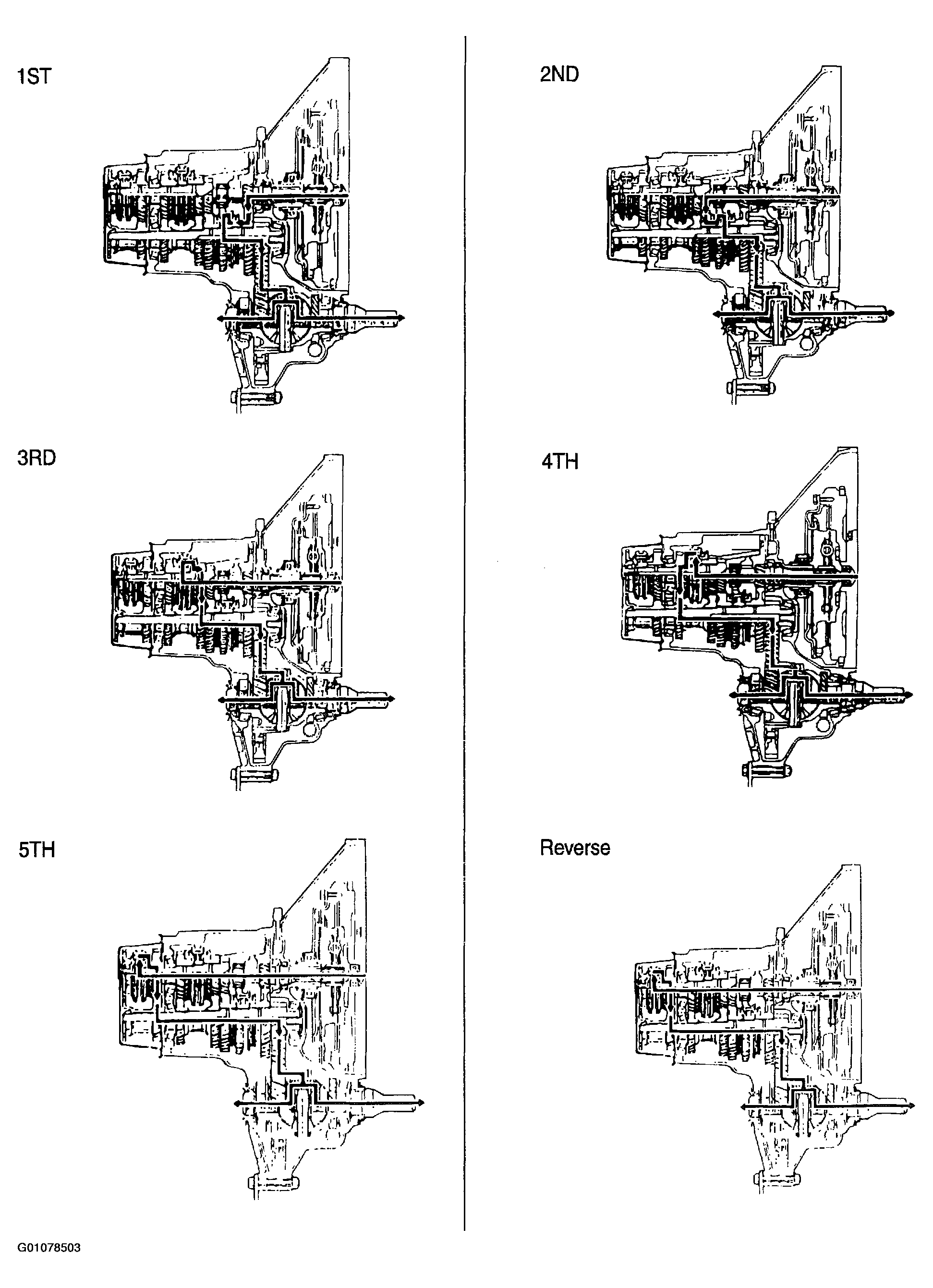 G01078503