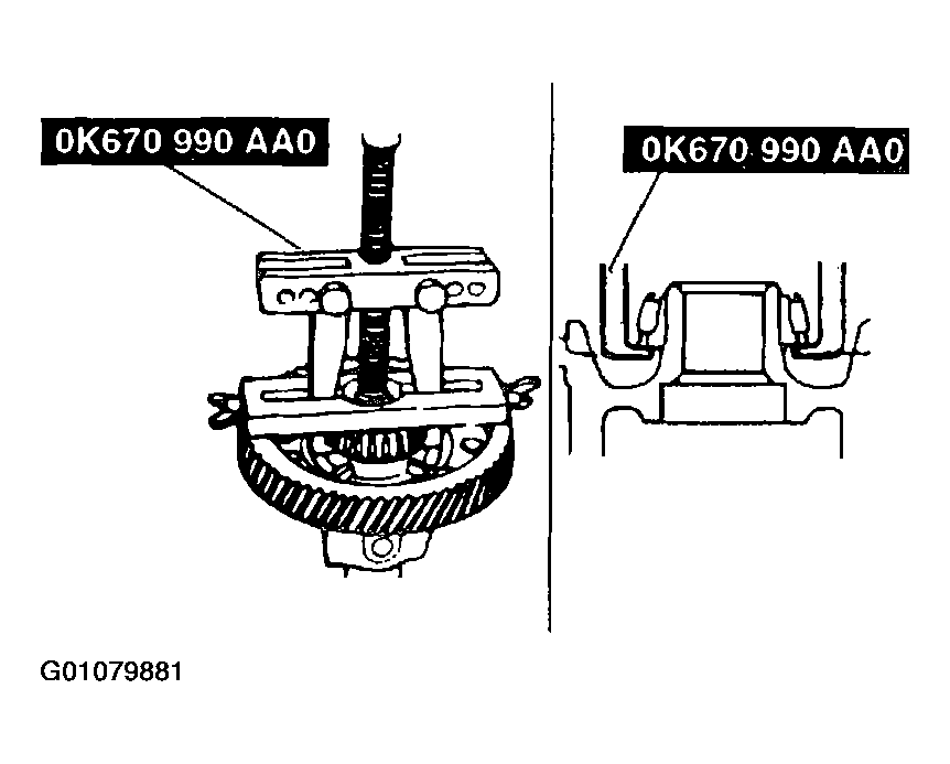 G01079881
