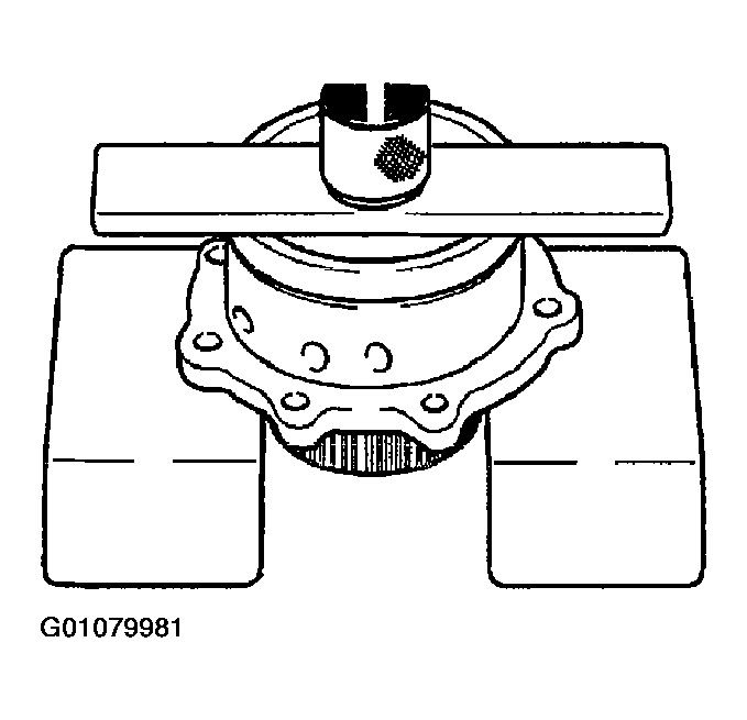G01079981
