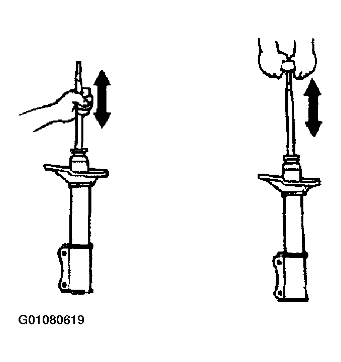 G01080619