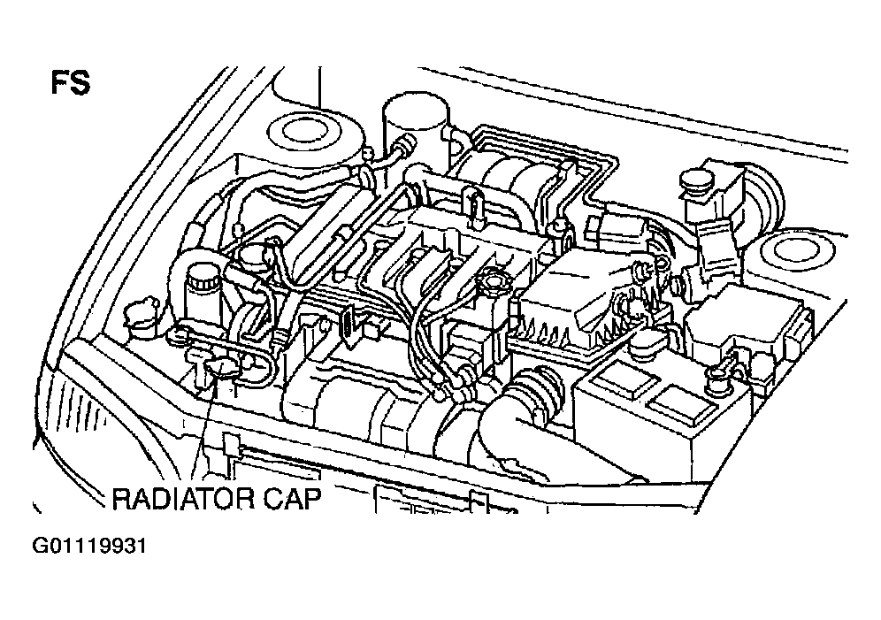 G01119931