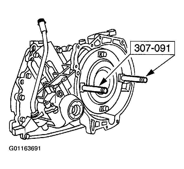 G01163691
