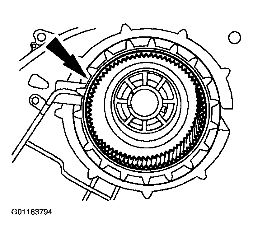 G01163794