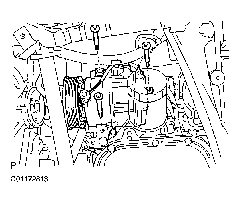 G01172813
