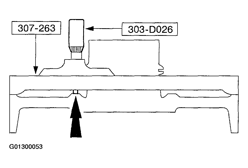 G01300053