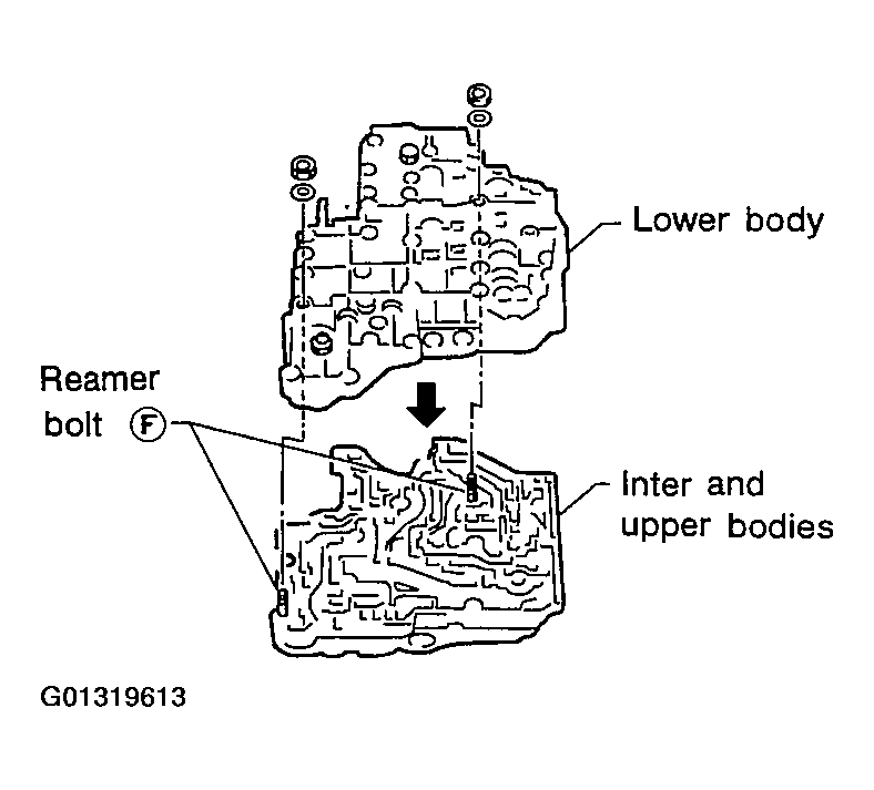 G01319613