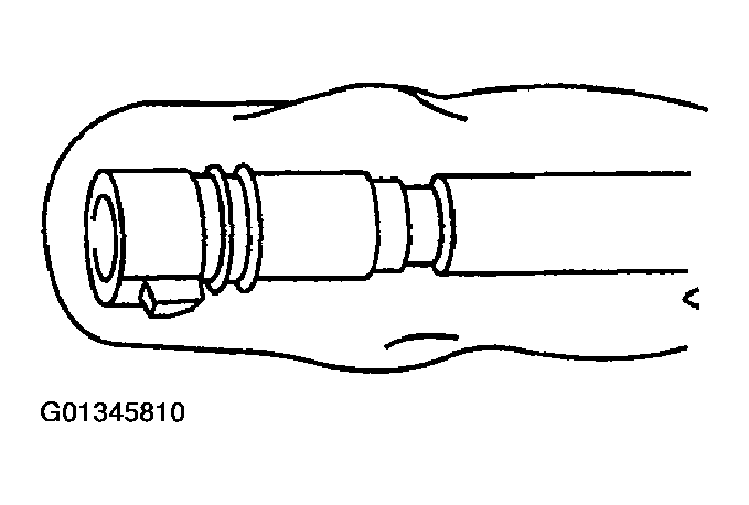 G01345810