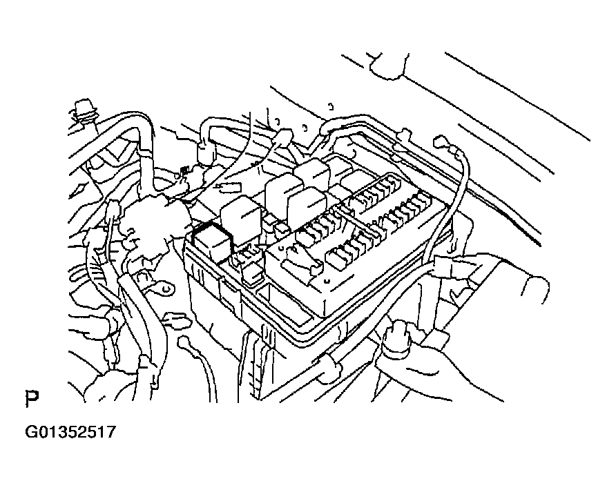 G01352517
