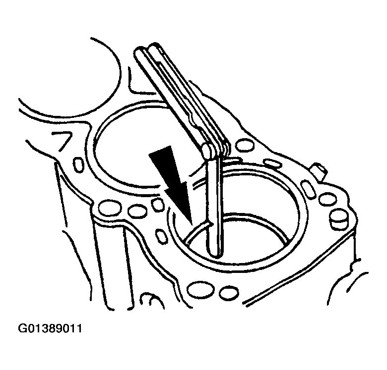 G01389011