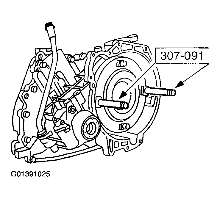 G01391025