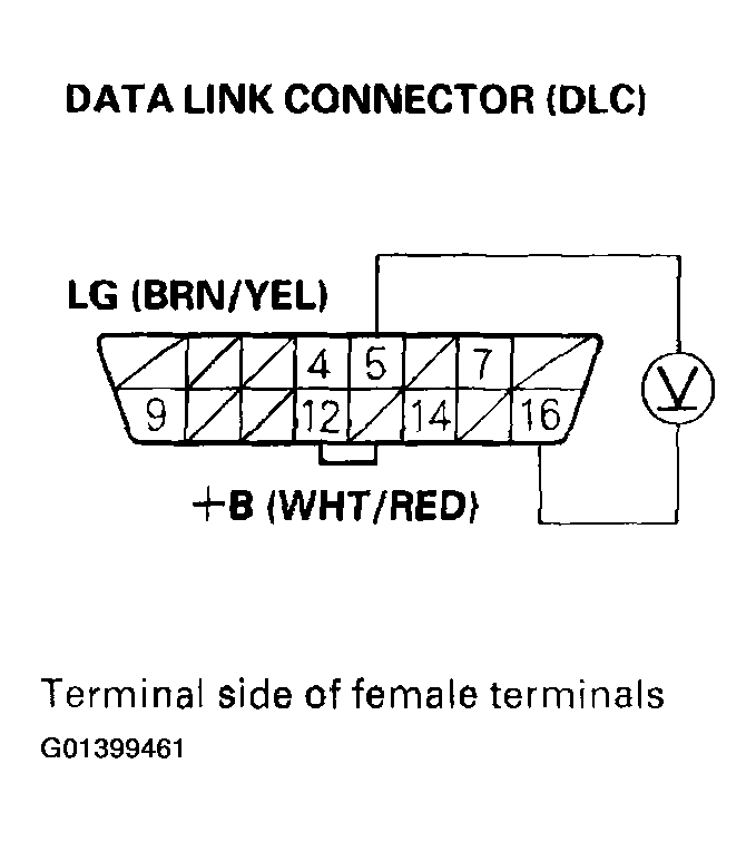 G01399461