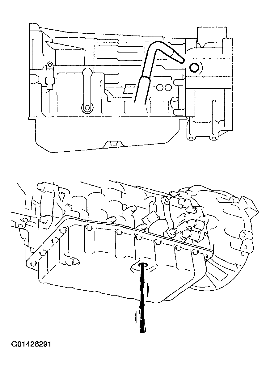 G01428291